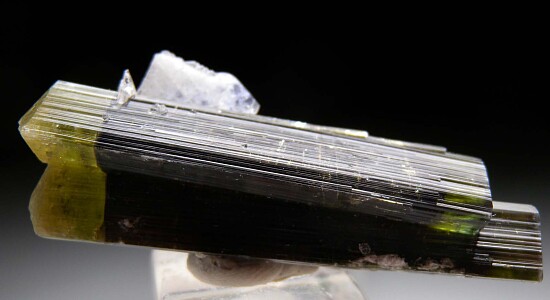 Tourmaline with Albite