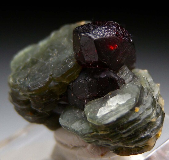 Chondrodite with Clinochlore