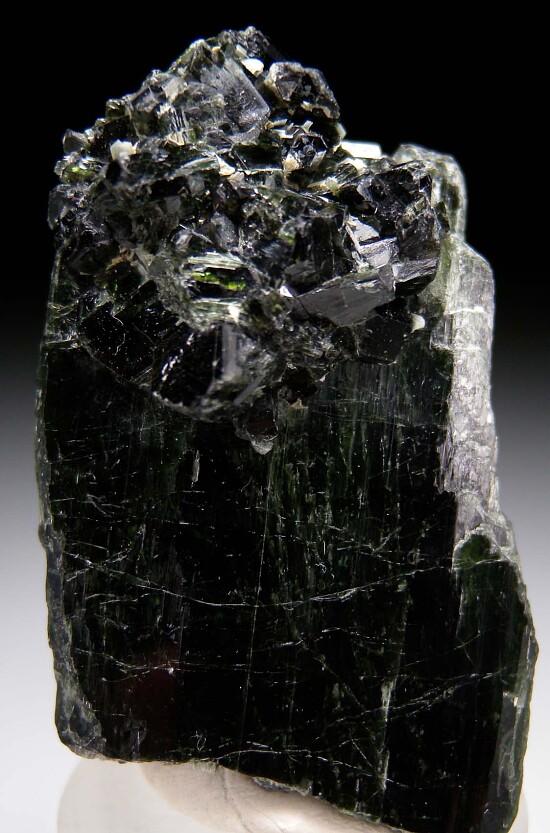 Actinolite