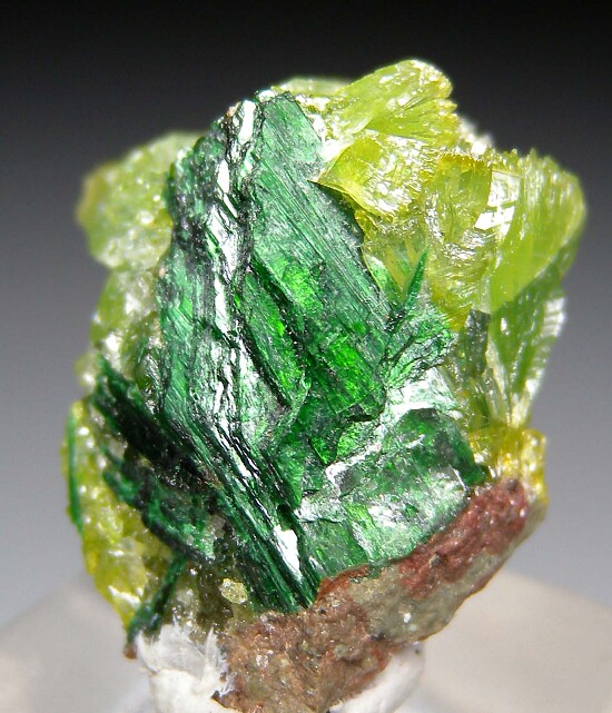 Szenicsite, Cuprian Powellite