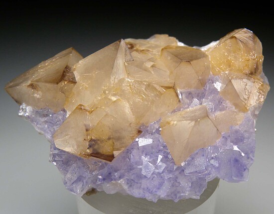 Scheelite on Fluorite