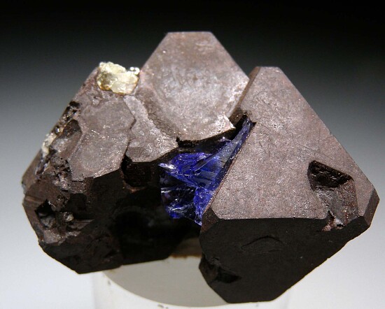 Tanzanite on Alabandite