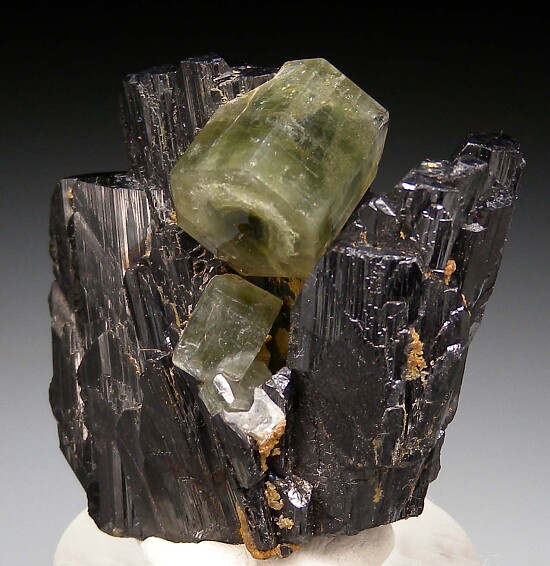 Apatite on Ferberite