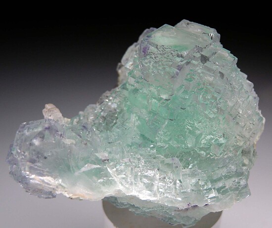 Fluorite with Arsenopyrite
