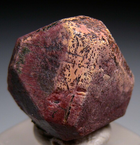 Eudialyte