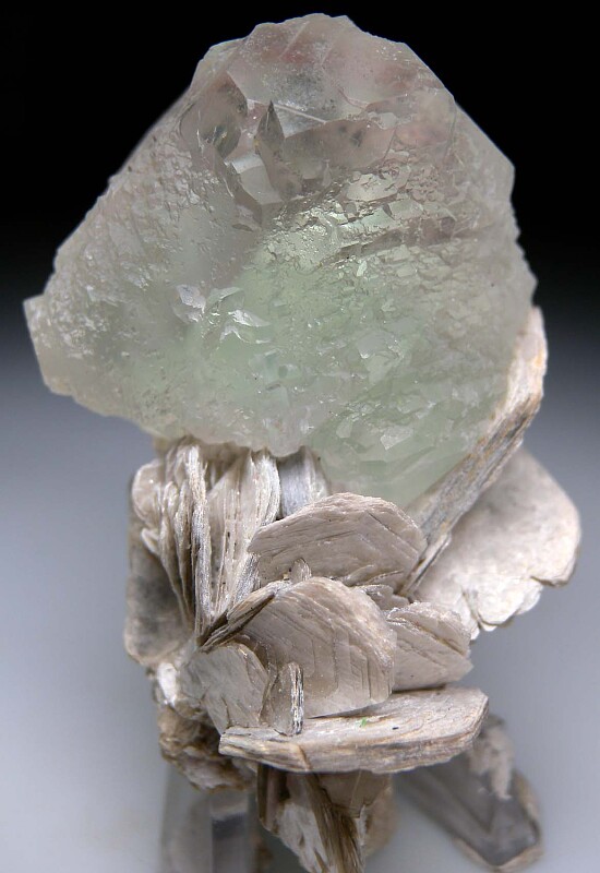 Fluorite on Muscovite