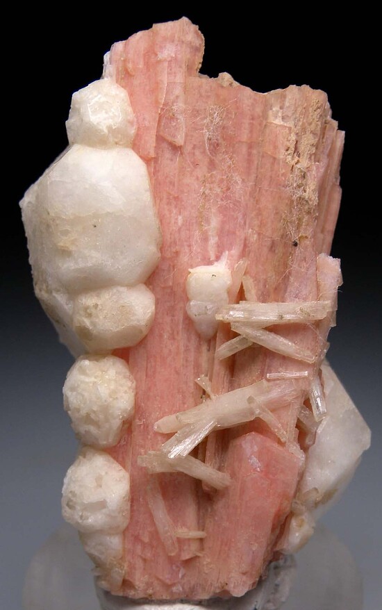 Serandite, Analcime, Natrolite, Rhodochrosite