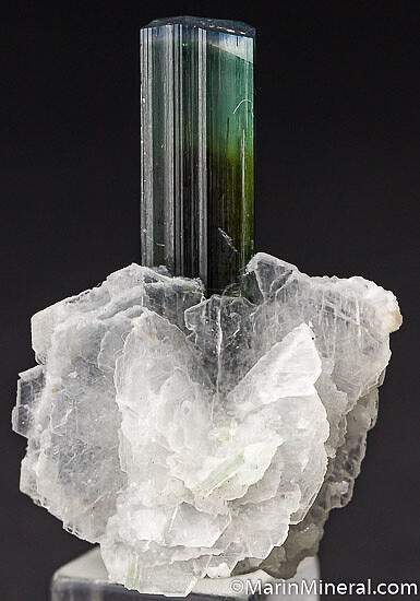 Albite on Tourmaline
