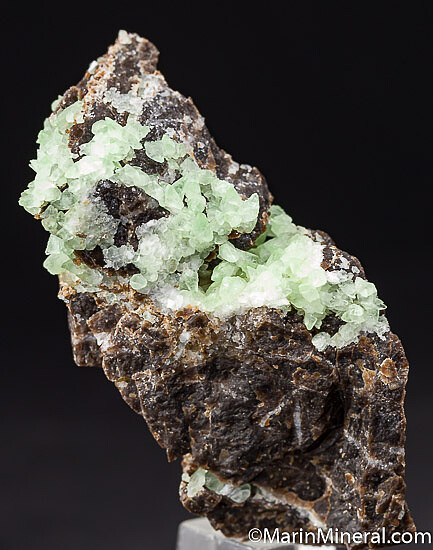 'Kiwi Calcite' on Petrified Wood