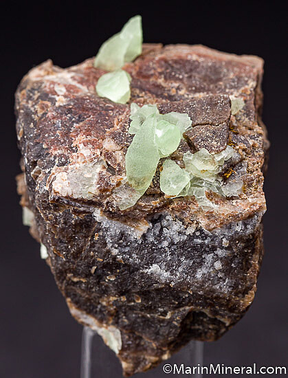'Kiwi Calcite' on Petrified Wood