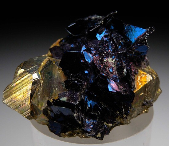 Covellite on Pyrite