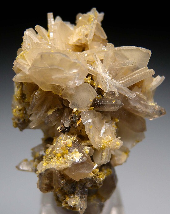 Bertrandite