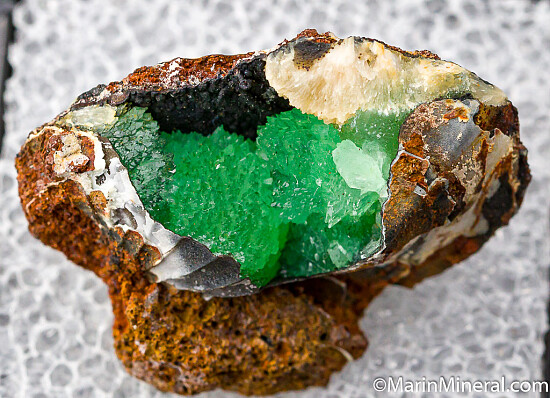 Anapaite in fossil Bivalve