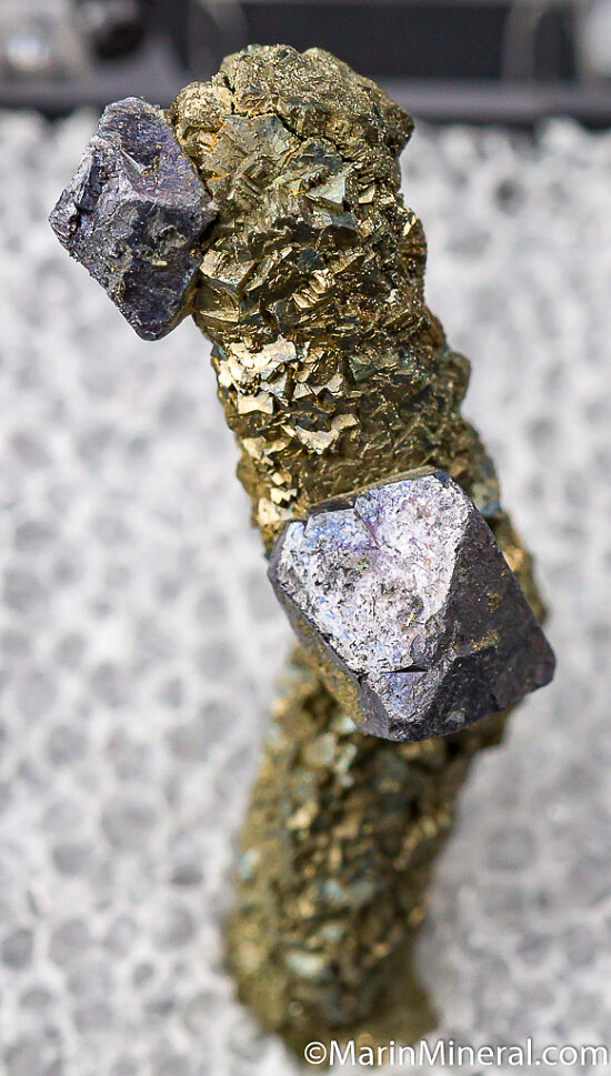 Galena on Pyrite stalactite