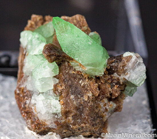 'Kiwi' Calcite on Petrified Wood