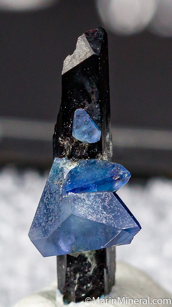 Benitoite on Neptunite