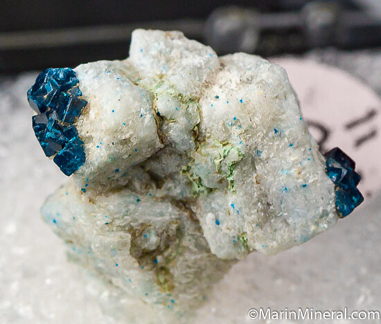 Boleite on Anglesite