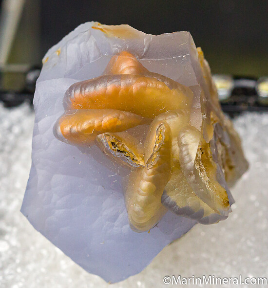 Chalcedony epimorph after Ankerite