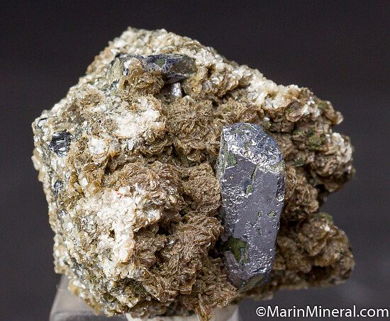 Galena over Arsenopyrite on Muscovite