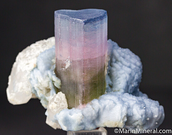 Tourmaline with Albite