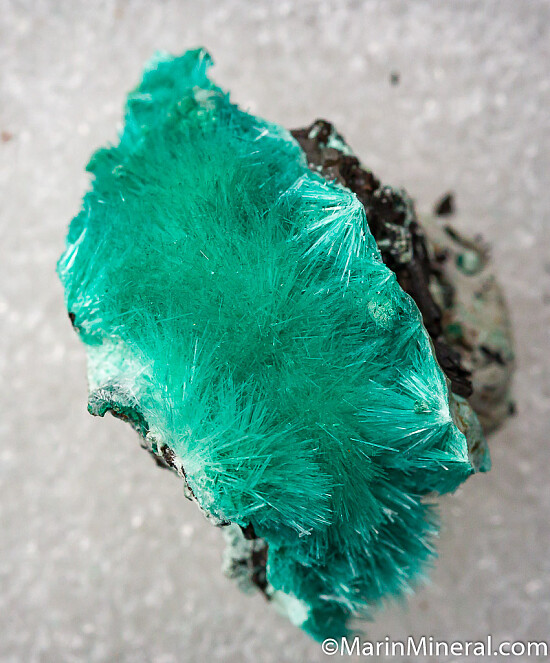 Aurichalcite