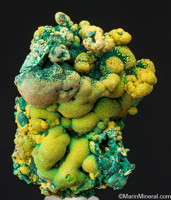 Pyromorphite on Malachite