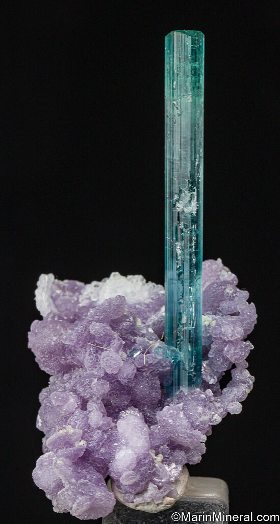 Tourmaline on Lepidolite