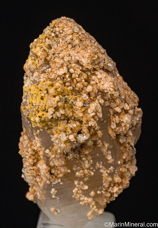 Svanbergite, Topaz, Rutile on Quartz
