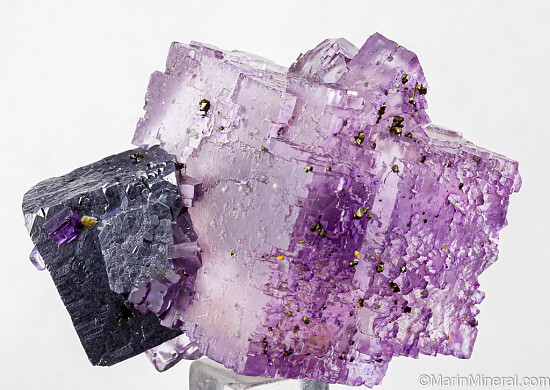 Fluorite with Galena