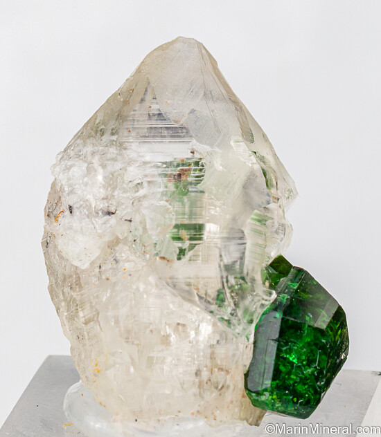 Chrome Tourmaline on Quartz