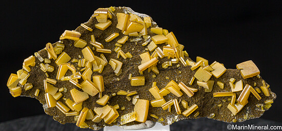Wulfenite