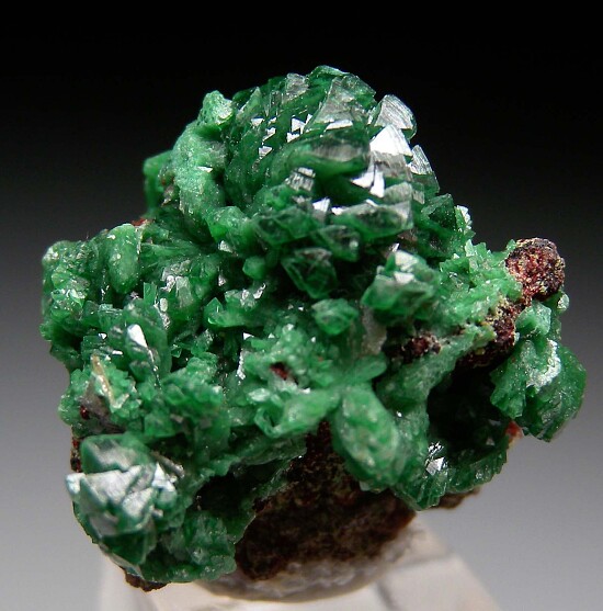 Zincolivenite