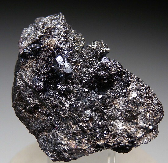 Aramayoite with Miargyrite