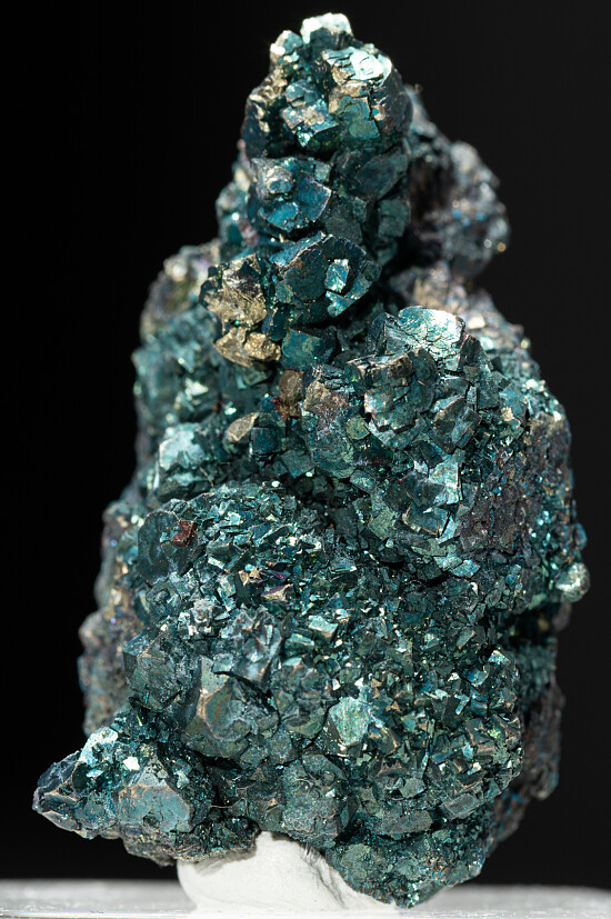Bornite