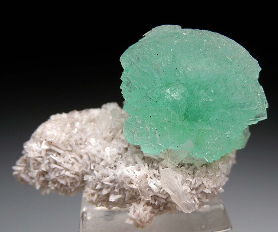 Apophyllite