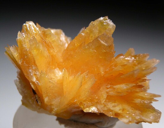 Adamite