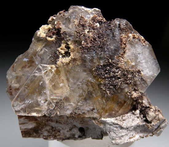 Catapleite