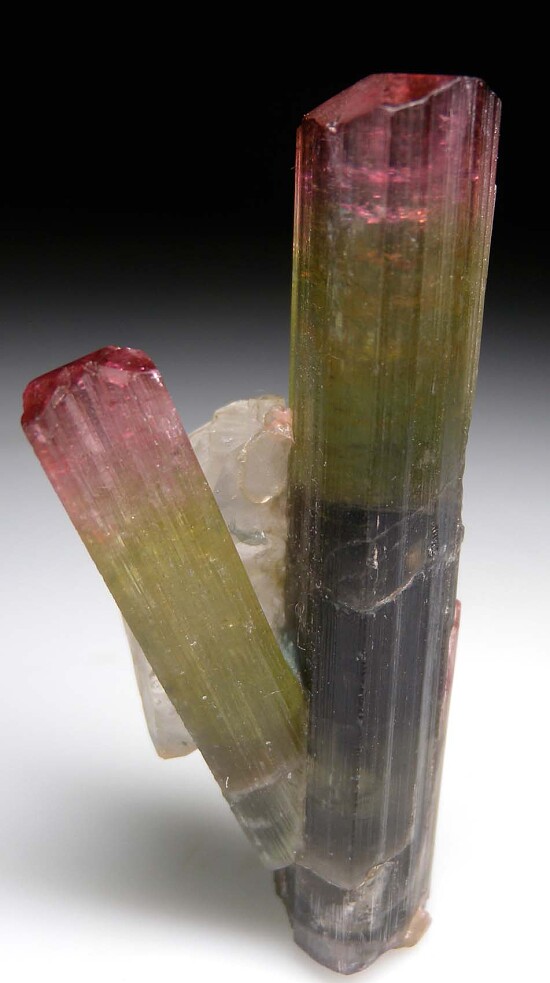 Tourmaline with Quartz (R)