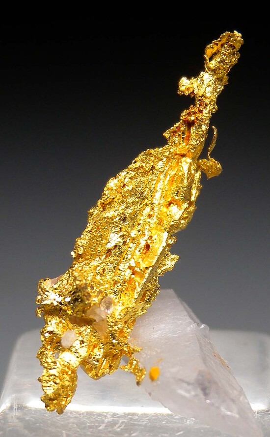 Gold with Quartz