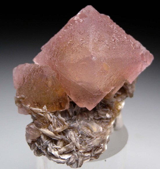 Fluorite on Muscovite