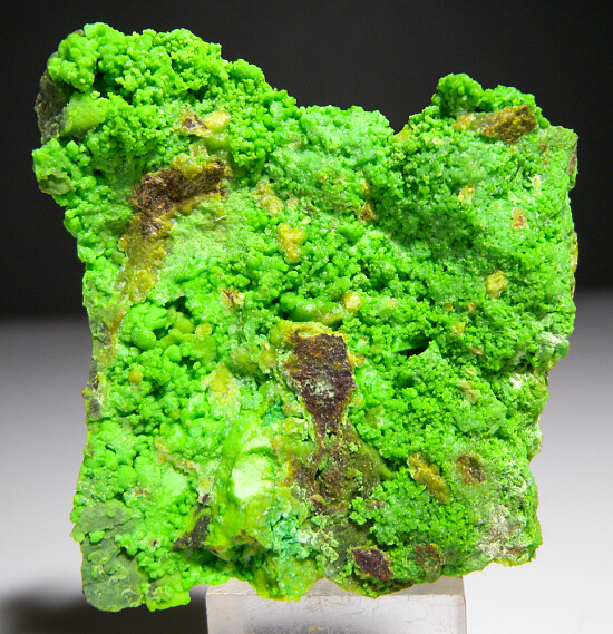 Gaspeite, Widgiemoolthaite