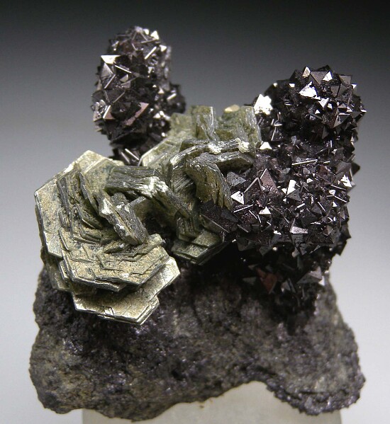 Magnetite with Clinochlore