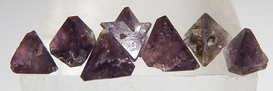 Chambersite (7 crystals)