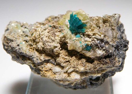 Caledonite with Leadhillite