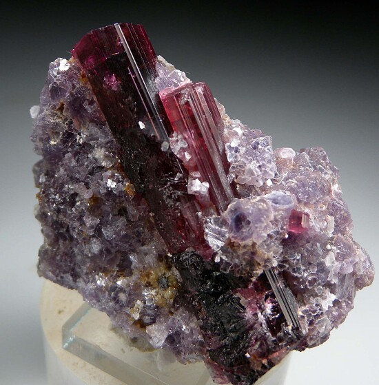 Tourmaline on Lepidolite