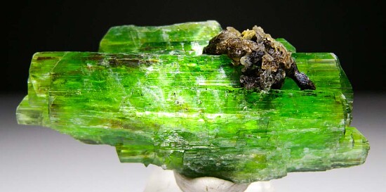 Tremolite