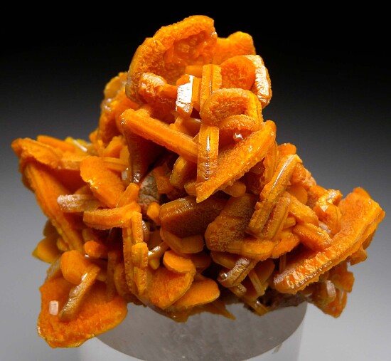 Wulfenite