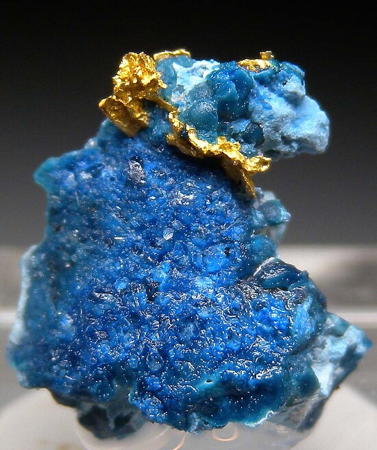 Gold in Shattuckite