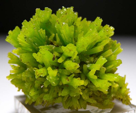 Pyromorphite
