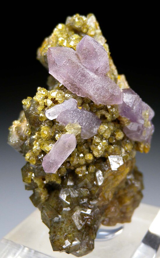 Amethyst on Andradite